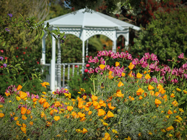 South Coast Botanical Garden