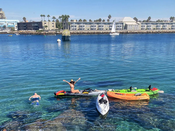 Kayaking Group In Redondo Beach