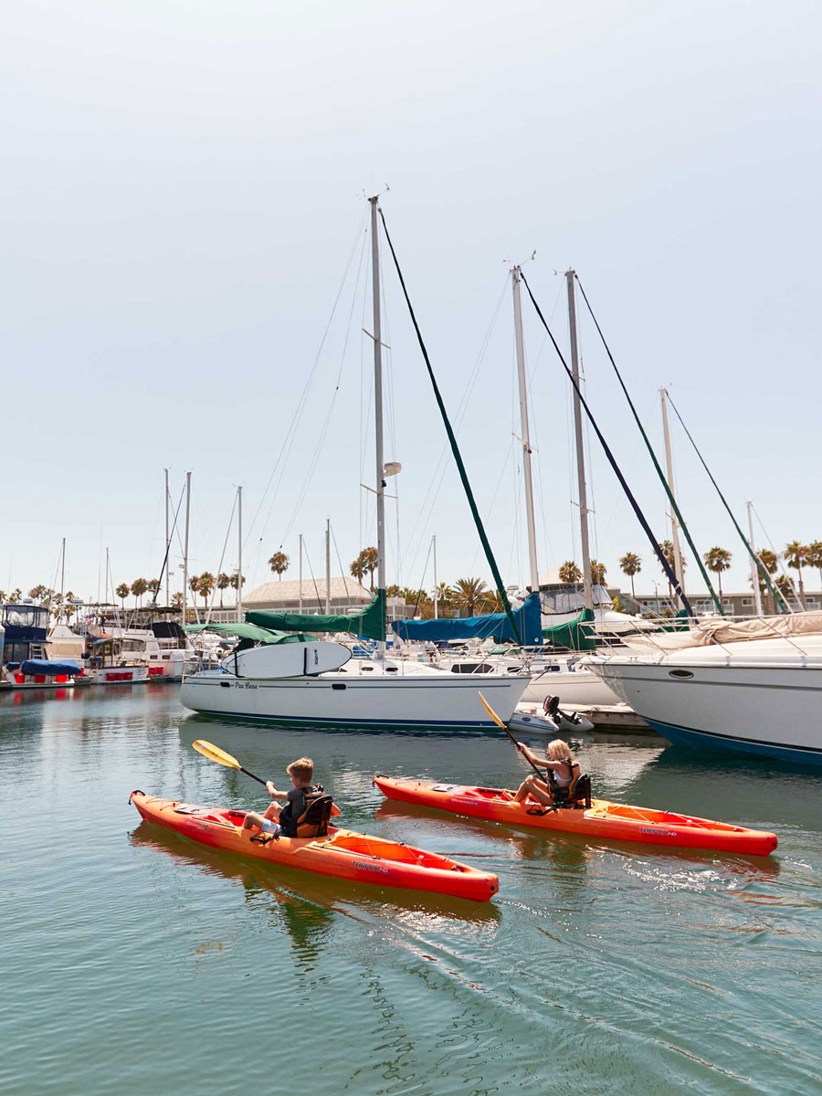 Kayaks In The Marina