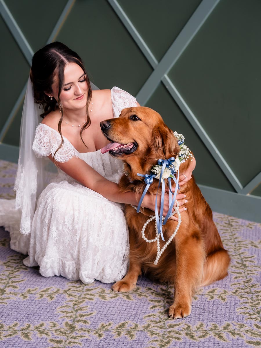 Bride With Her Dog