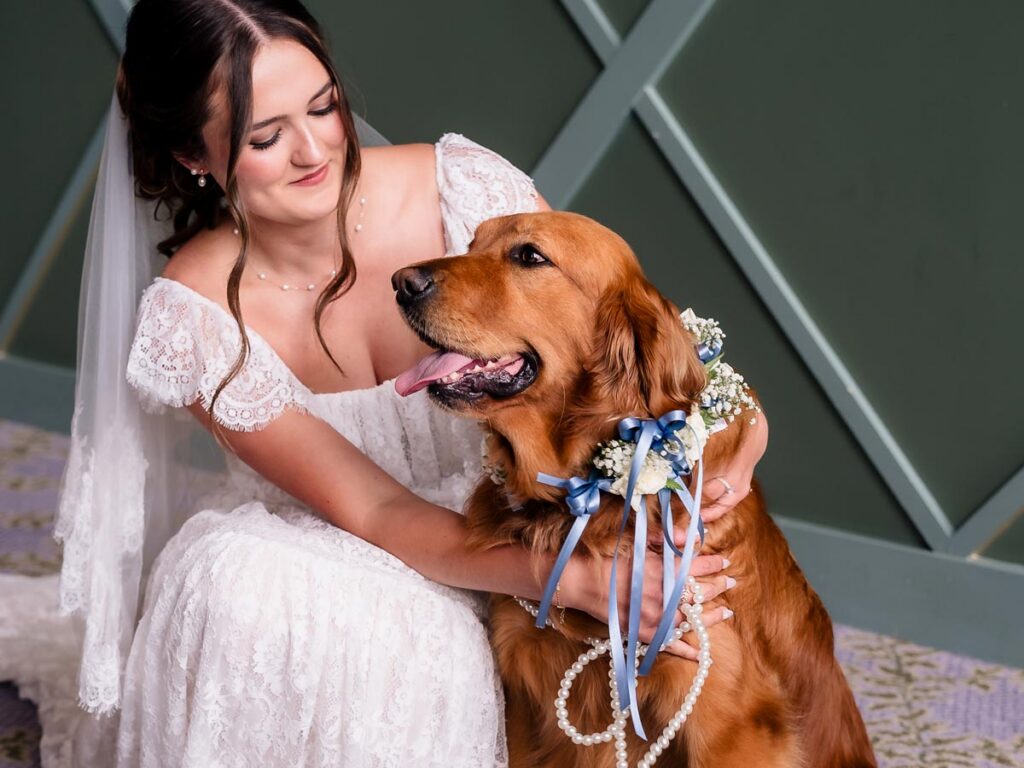 Bride And Her dog